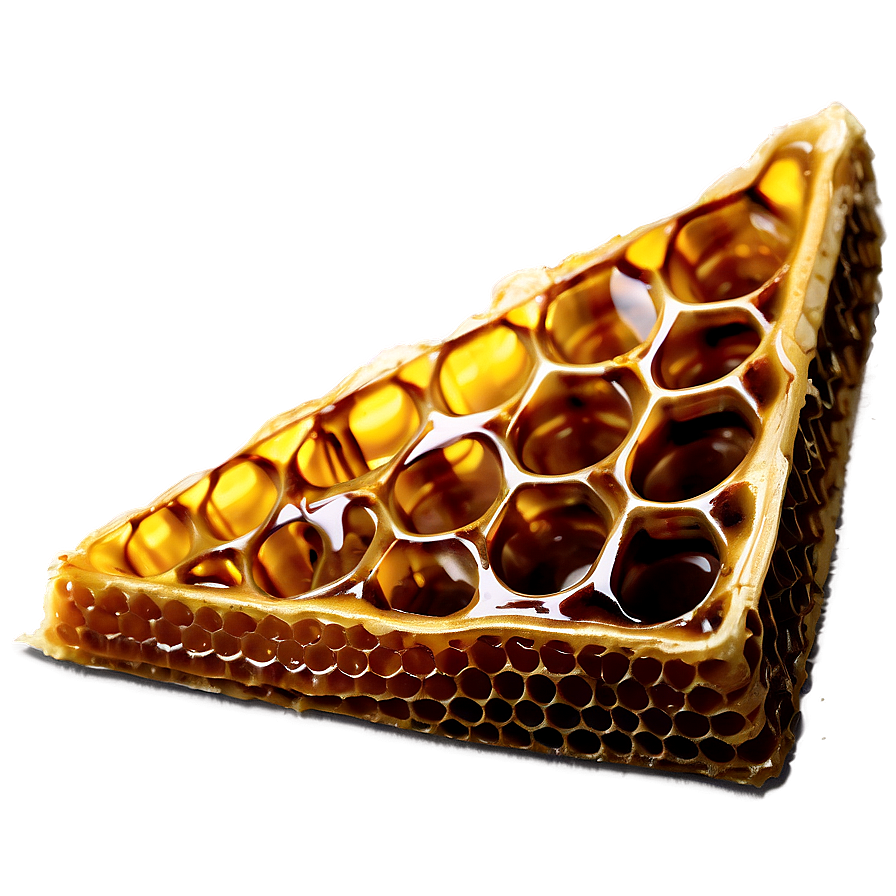 Honeycomb Slice Png 72 PNG Image