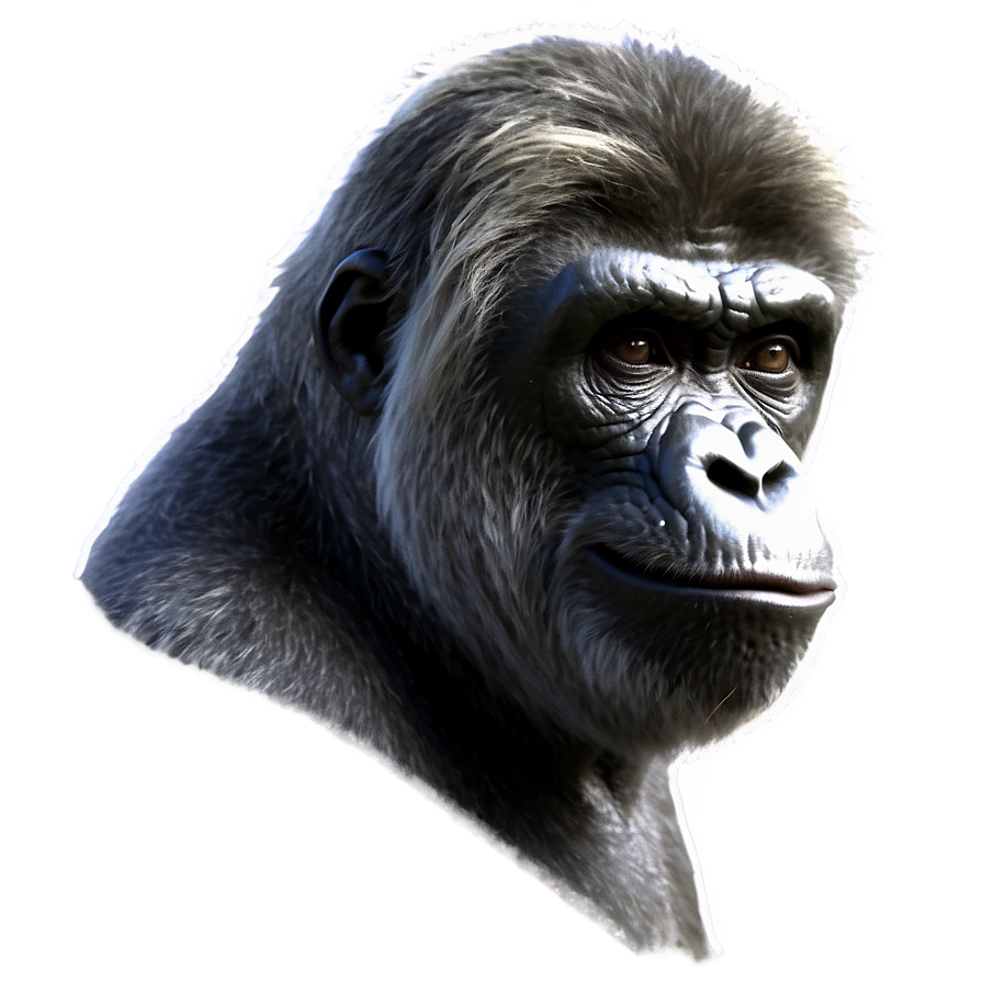 Honor Harambe Png 06262024 PNG Image