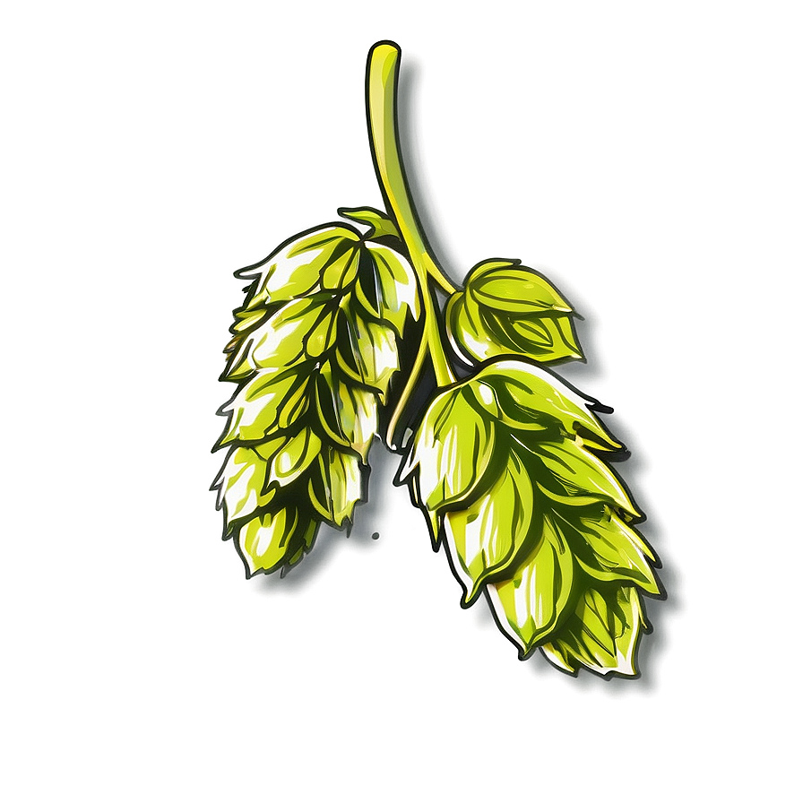 Hops Branch Sketch Png 86 PNG Image