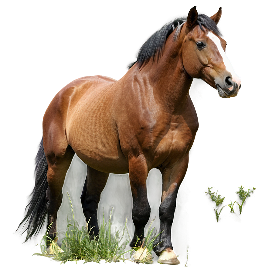 Horse Grazing Png Rmg PNG Image