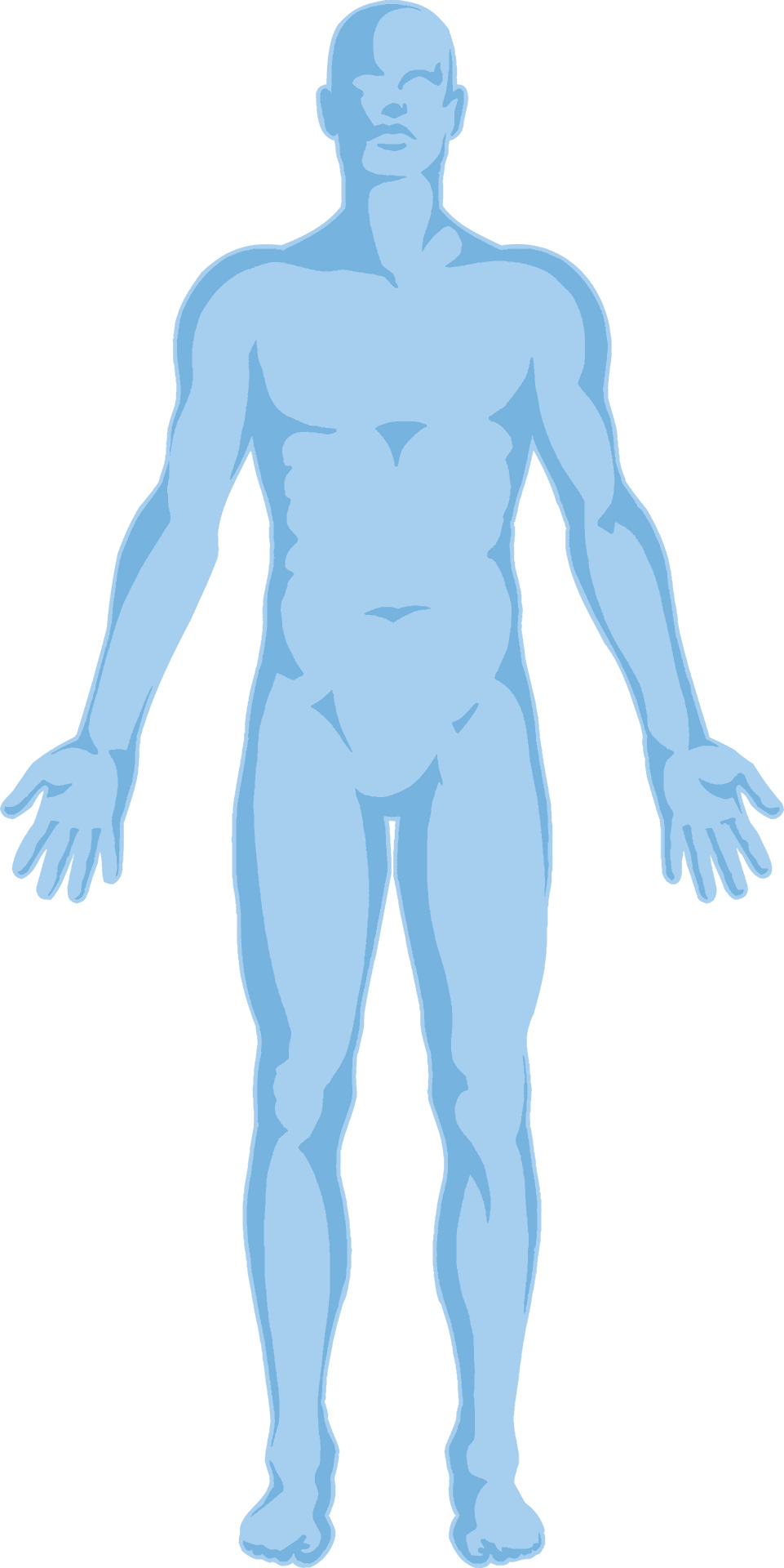 Human Anatomy Outline PNG Image