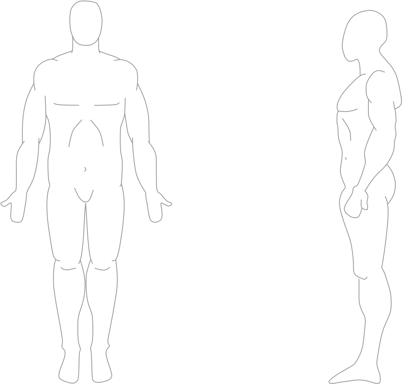 Human Anatomy Outline PNG Image