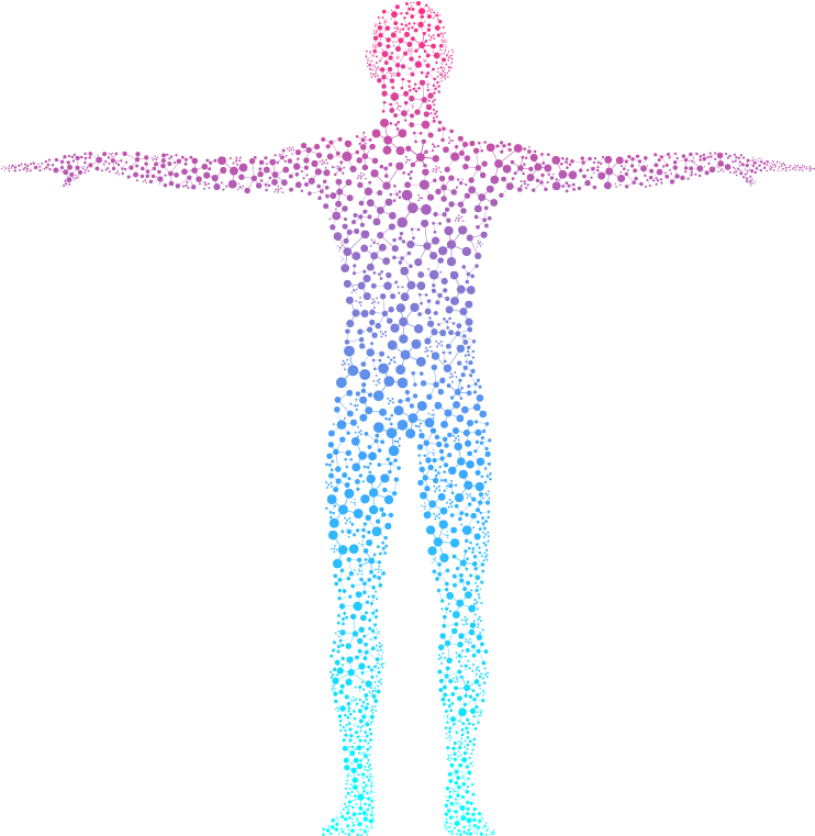 Human Body Cellular Structure Illustration PNG Image