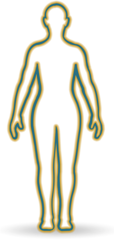 Human Body Outline Illustration PNG Image