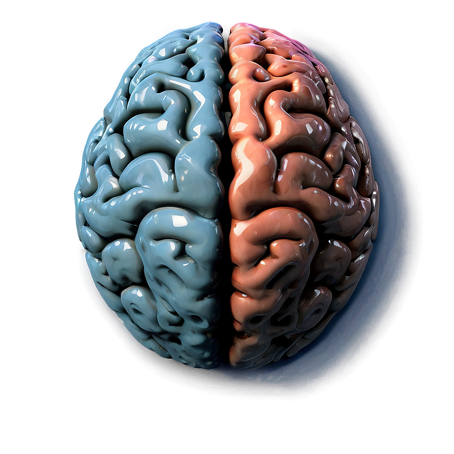 Human Brain Creative Thinking Png 51 PNG Image