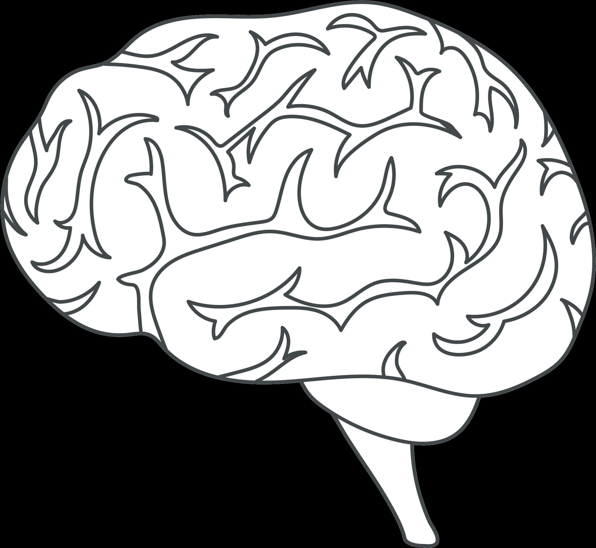 Human Brain Illustration PNG Image