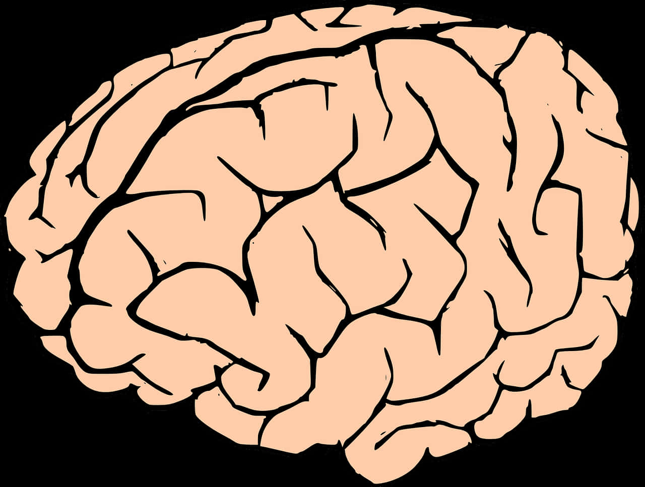 Human Brain Illustration PNG Image