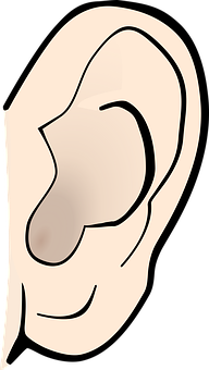 Human Ear Illustration PNG Image