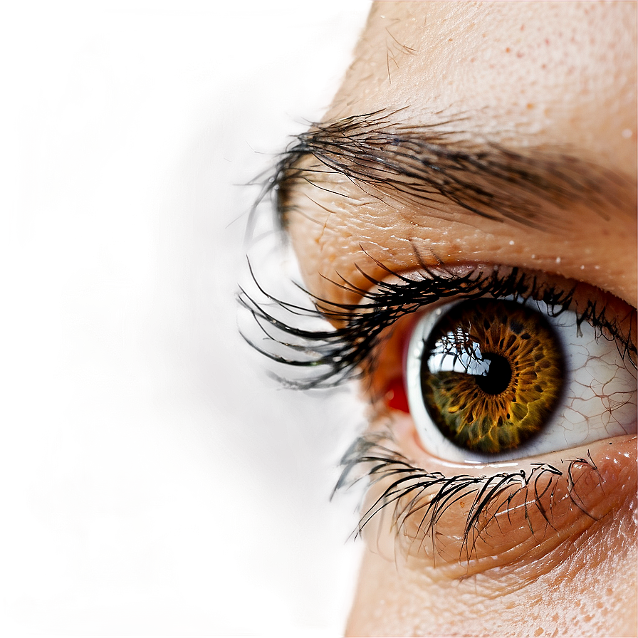 Human Eye Close-up Png Fxy PNG Image