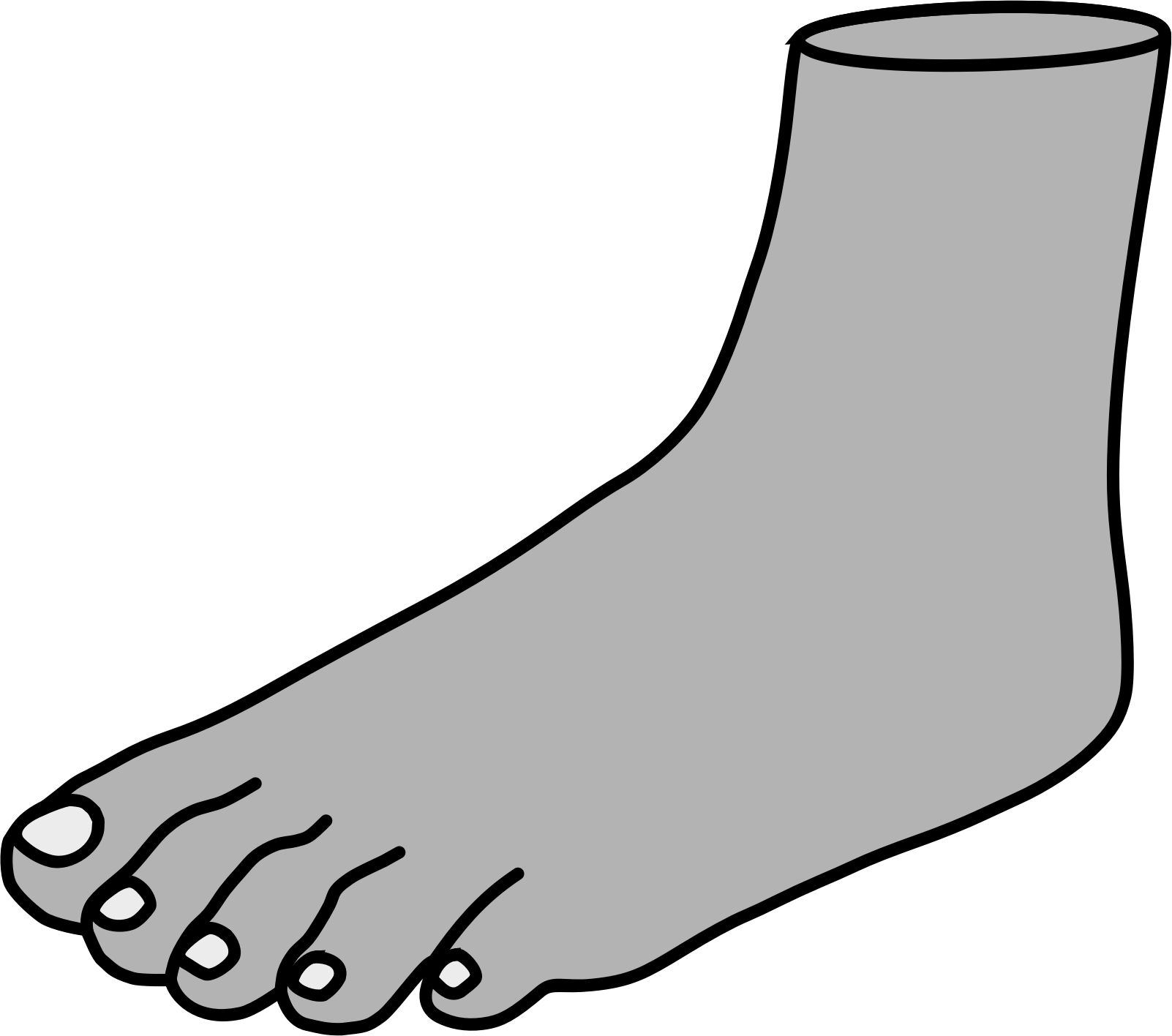 Human Foot Line Art Illustration PNG Image