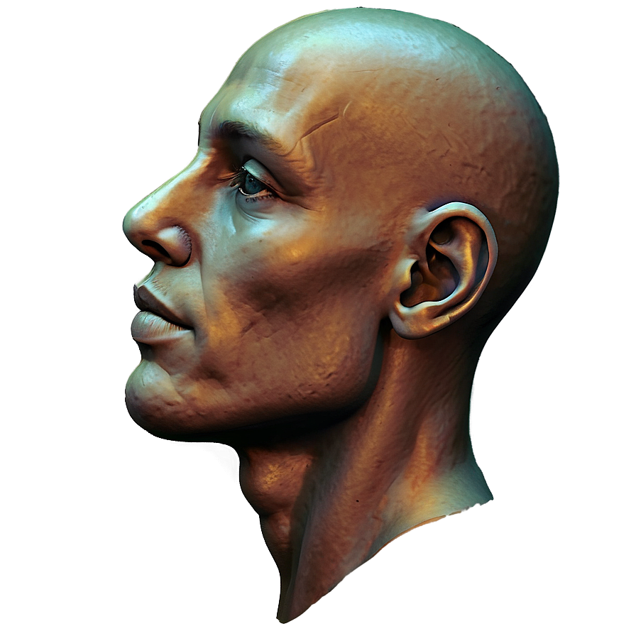 Human Head A PNG Image