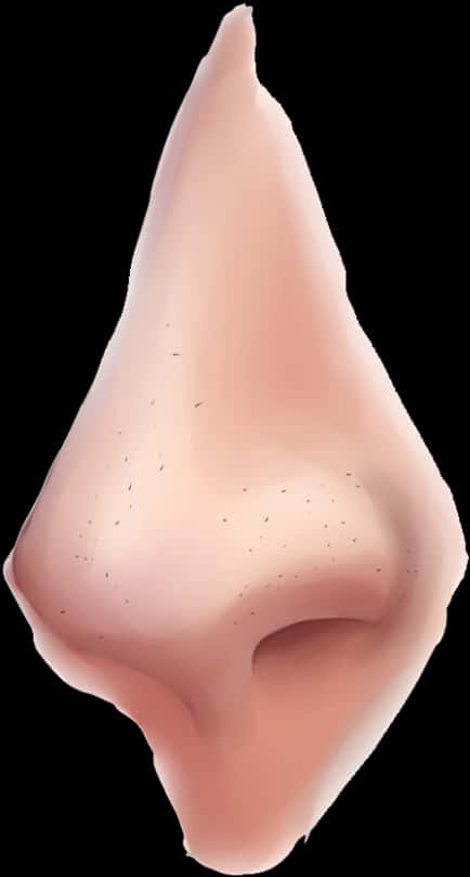 Human Nose Close Up Image PNG Image