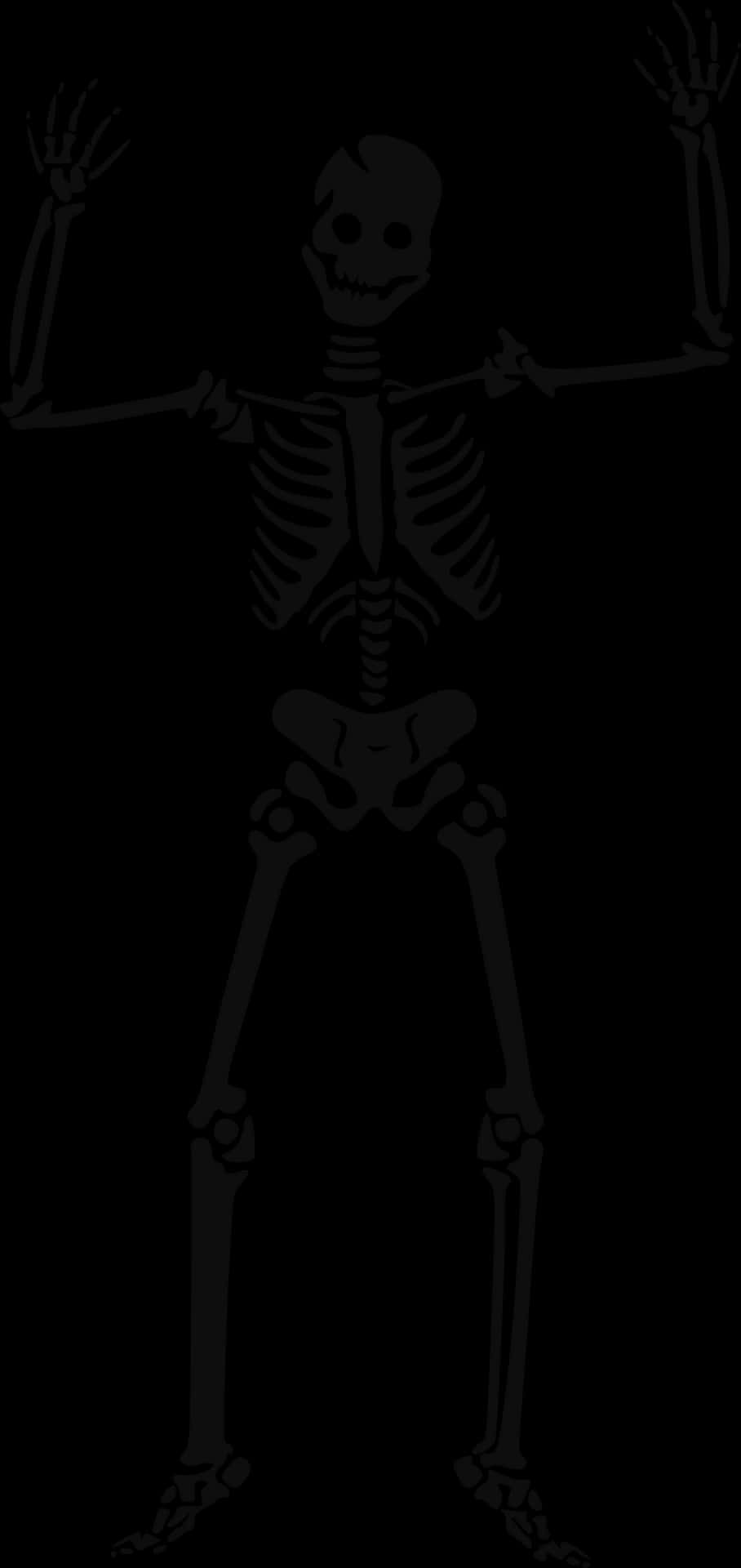 Human Skeleton Illustration PNG Image