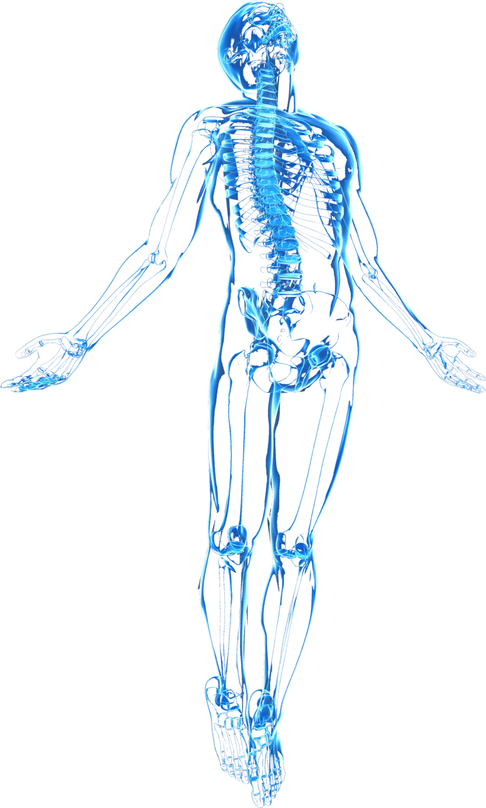 Human Skeleton X Ray View PNG Image