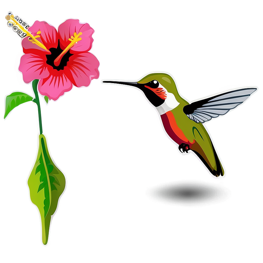 Hummingbird And Hibiscus Png Boa79 PNG Image