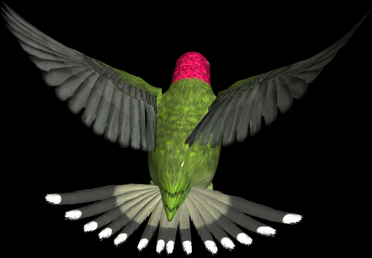 Hummingbird In Flight PNG Image