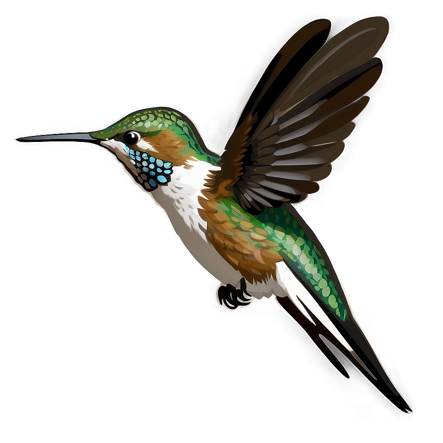 Hummingbird In Motion Png 05212024 PNG Image