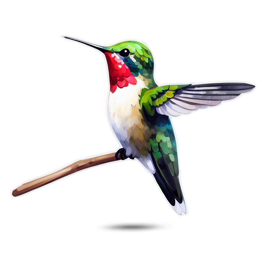 Hummingbird In Watercolor Style Png 17 PNG Image