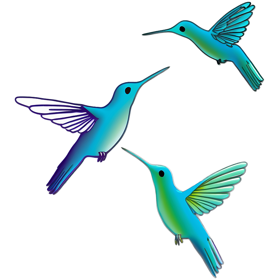 Hummingbird Outline Png Gim PNG Image