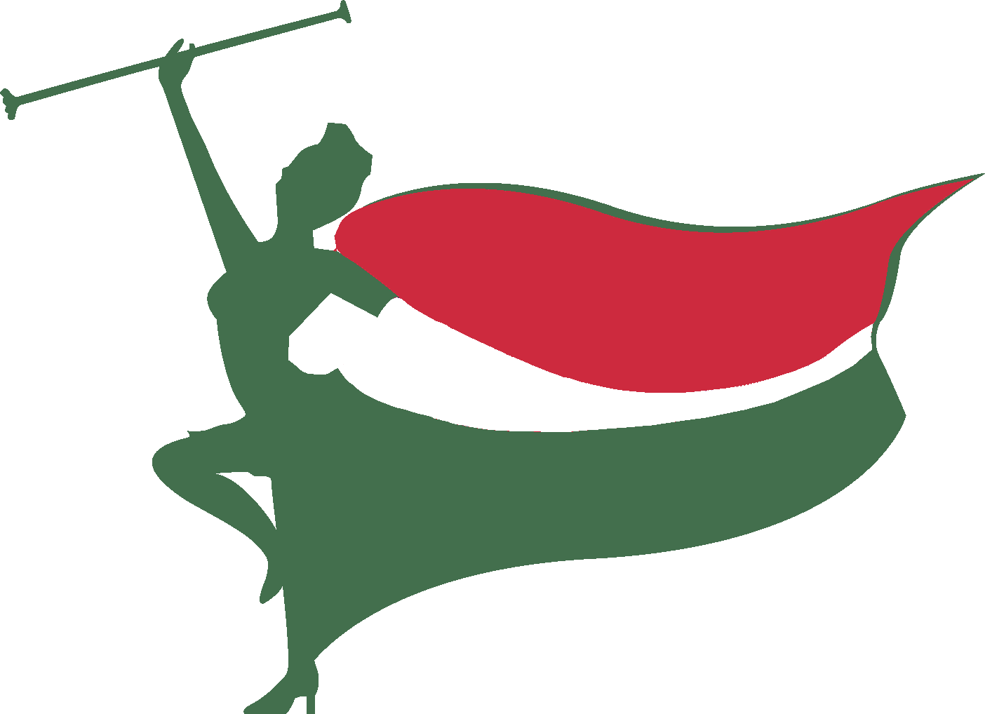 Hungarian Flag Silhouette PNG Image