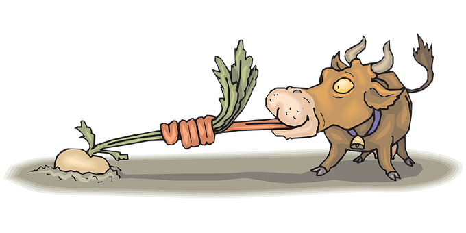 Hungry_ Bull_ Pulling_ Carrot PNG Image