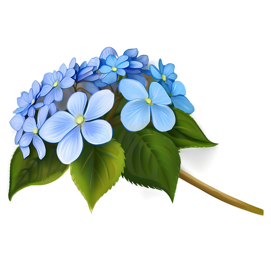 Hydrangea Clipart Png 13 PNG Image