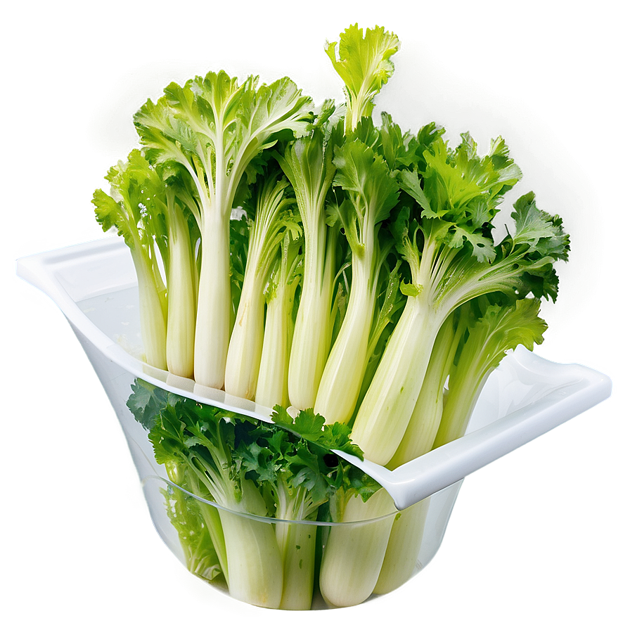 Hydroponic Celery Png Nau PNG Image