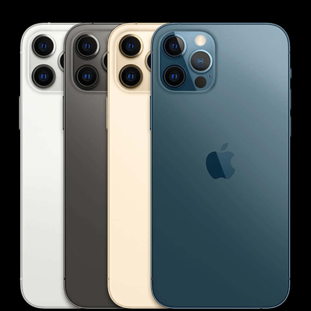 I Phone12 Color Options PNG Image