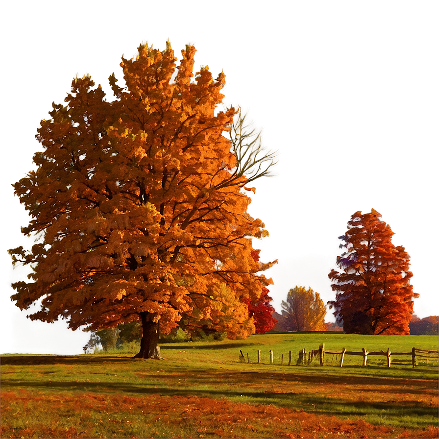 Illinois Autumn Landscape Png Raj13 PNG Image