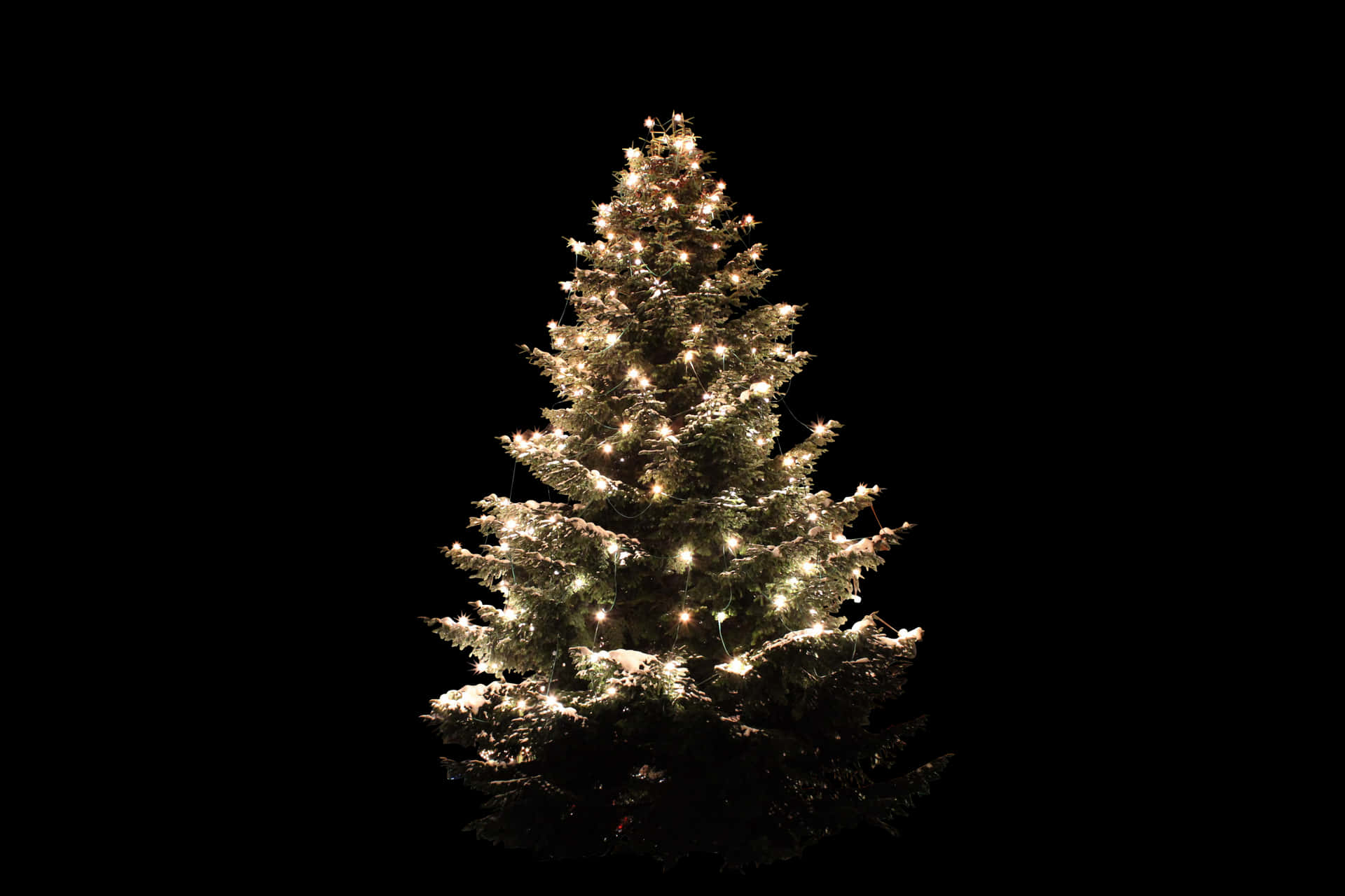 Illuminated Christmas Tree Against Black Background.jpg PNG Image