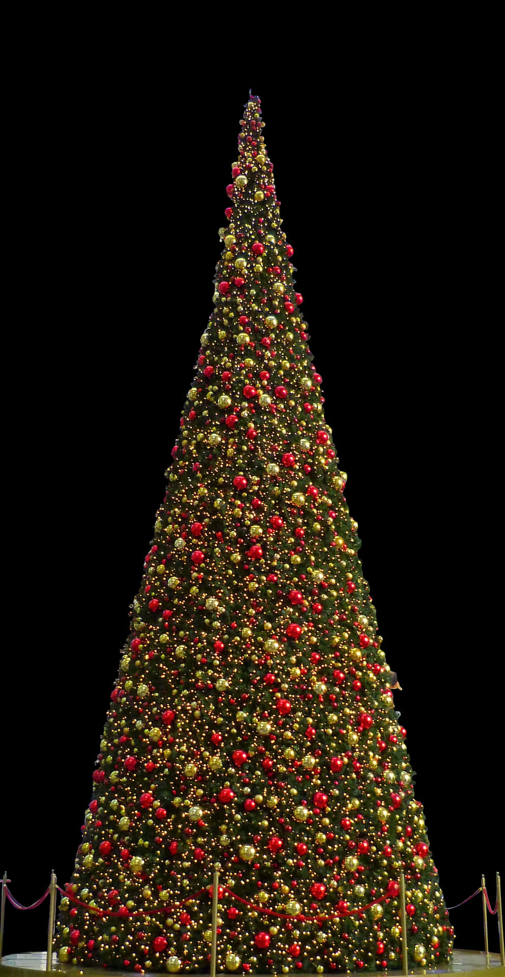 Illuminated Christmas Tree Night PNG Image