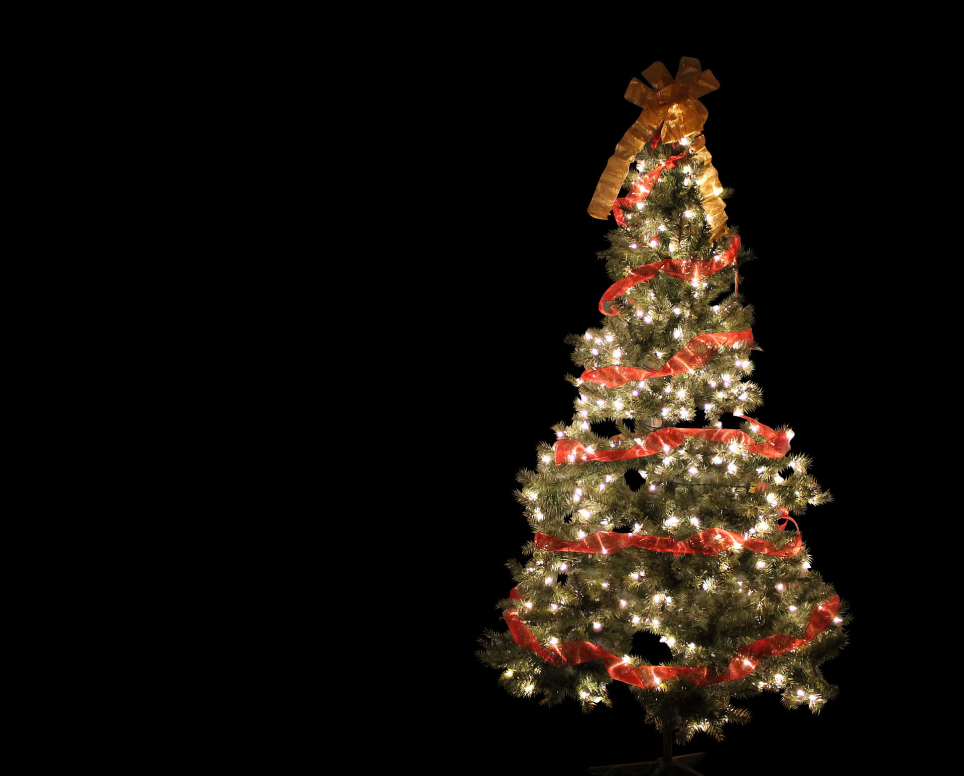 Illuminated Christmas Treewith Golden Bow PNG Image