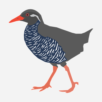 Illustrated Blue Feathered Bird PNG Image