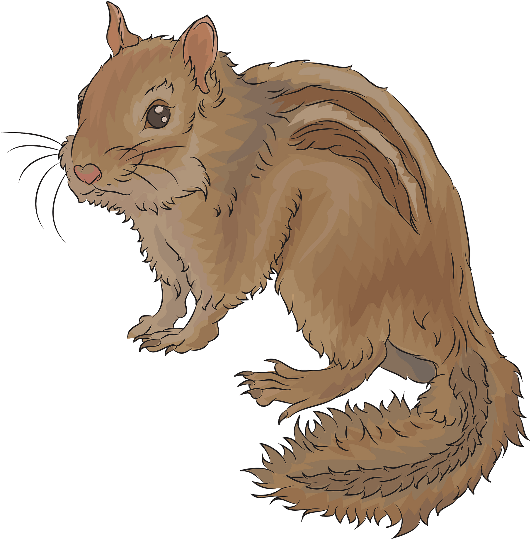 Illustrated Brown Squirrel PNG Image