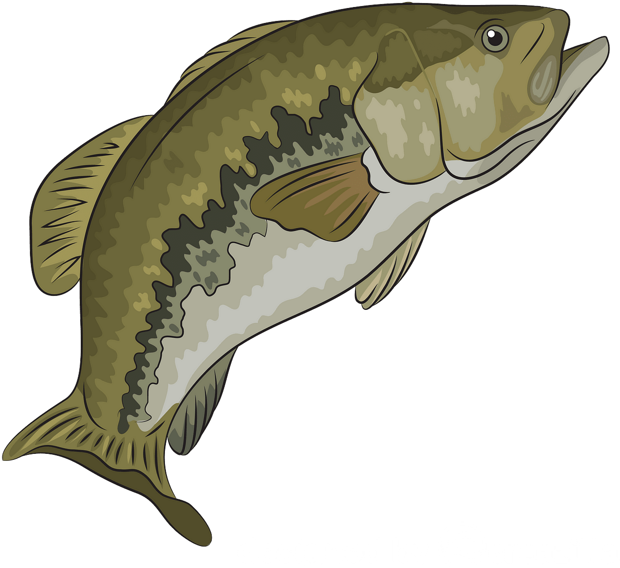 Illustrated Carp Fish PNG Image