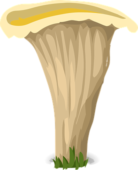 Illustrated Chanterelle Mushroom PNG Image