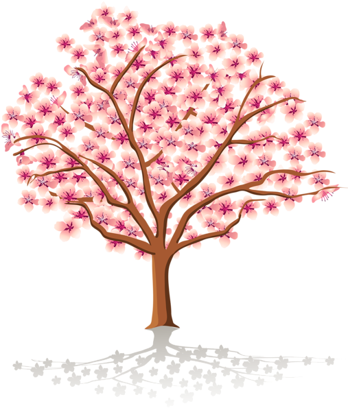 Illustrated Cherry Blossom Tree PNG Image