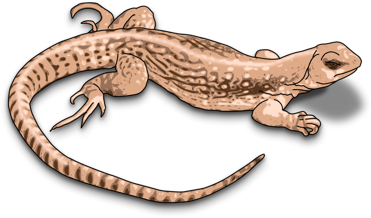 Illustrated Geckoon Blue Background.png PNG Image