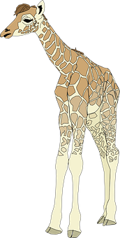 Illustrated Giraffe Standing Side View PNG Image