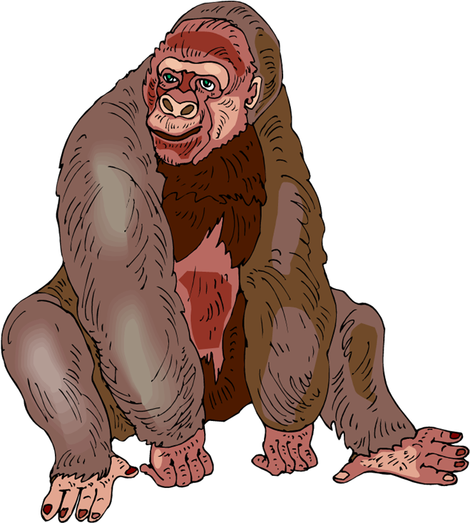 Illustrated_ Gorilla_ Portrait PNG Image