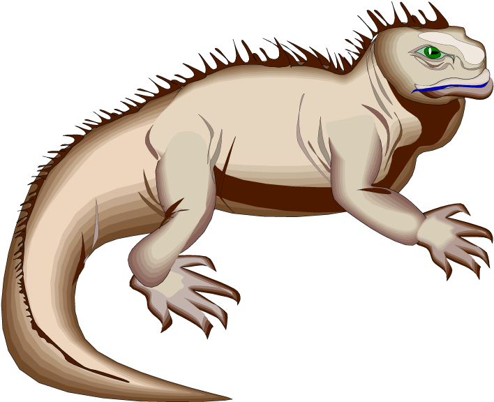 Illustrated Green Iguana.png PNG Image