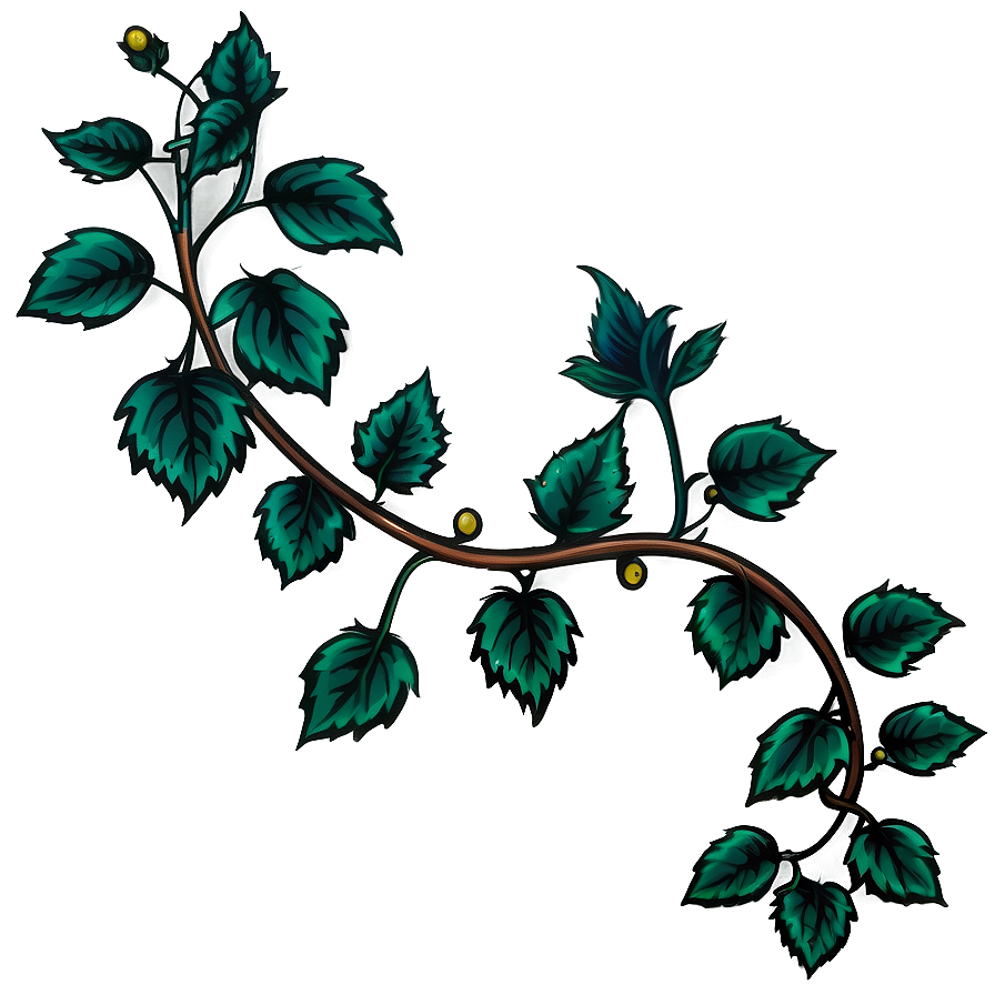 Illustrated Green Vinewith Berries PNG Image