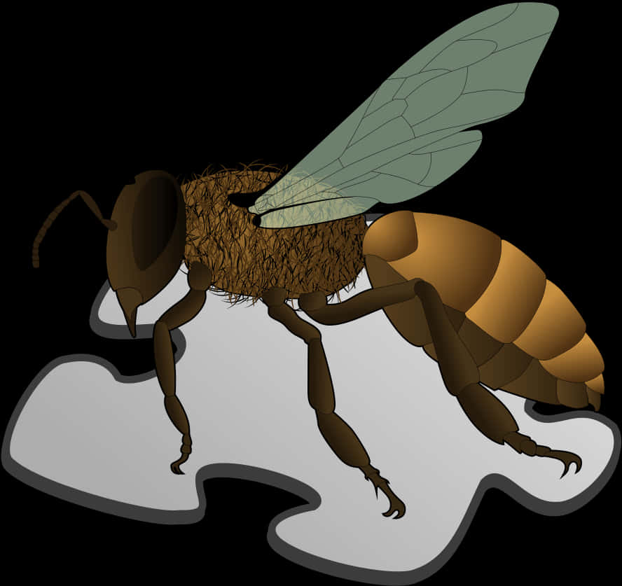 Illustrated Honey Bee Graphic PNG Image