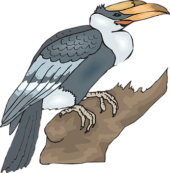 Illustrated Hornbill Perchedon Branch PNG Image