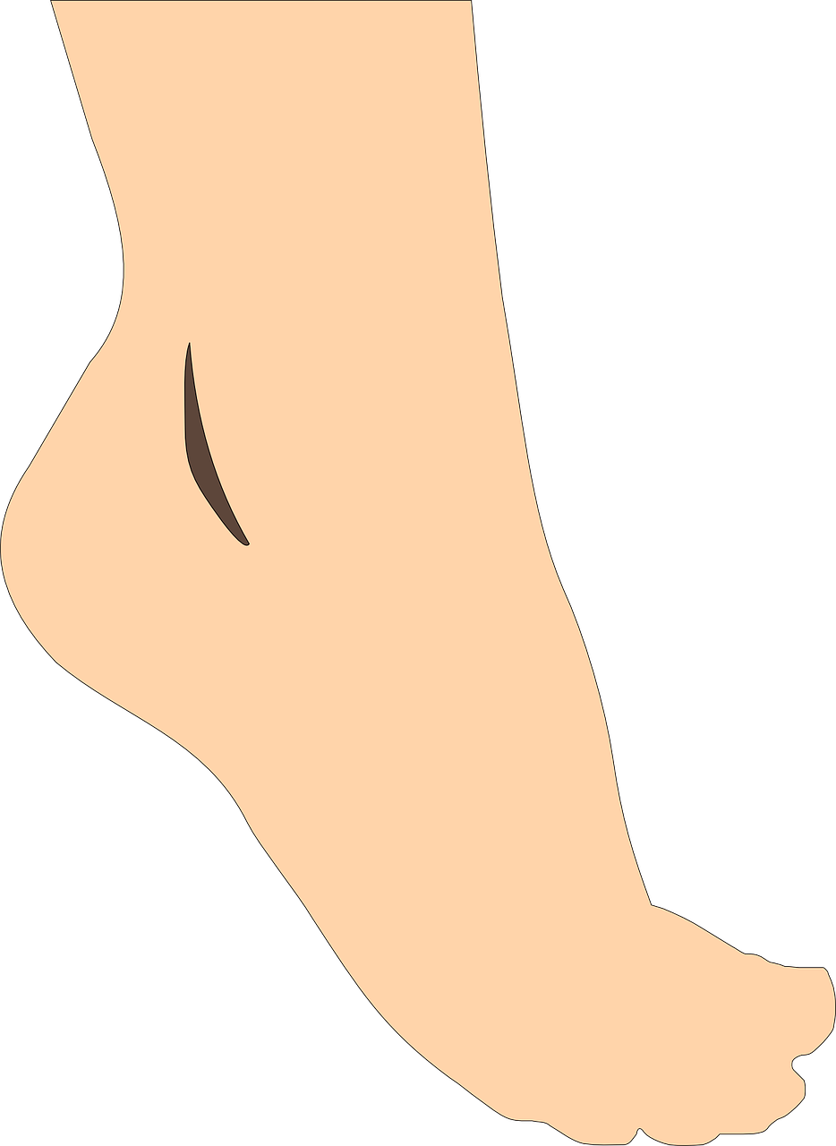 Illustrated Human Foot Side View.png PNG Image