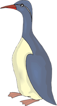 Illustrated Inquisitive Seabird PNG Image