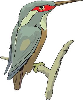 Illustrated Perched Bird Graphic PNG Image