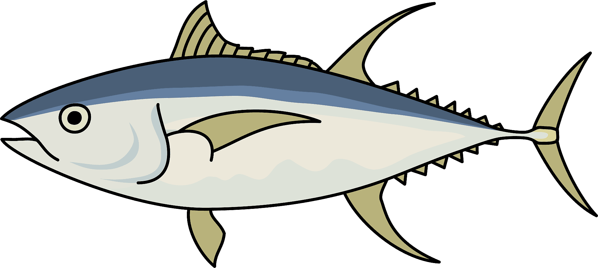 Illustrated Tuna Fish PNG Image