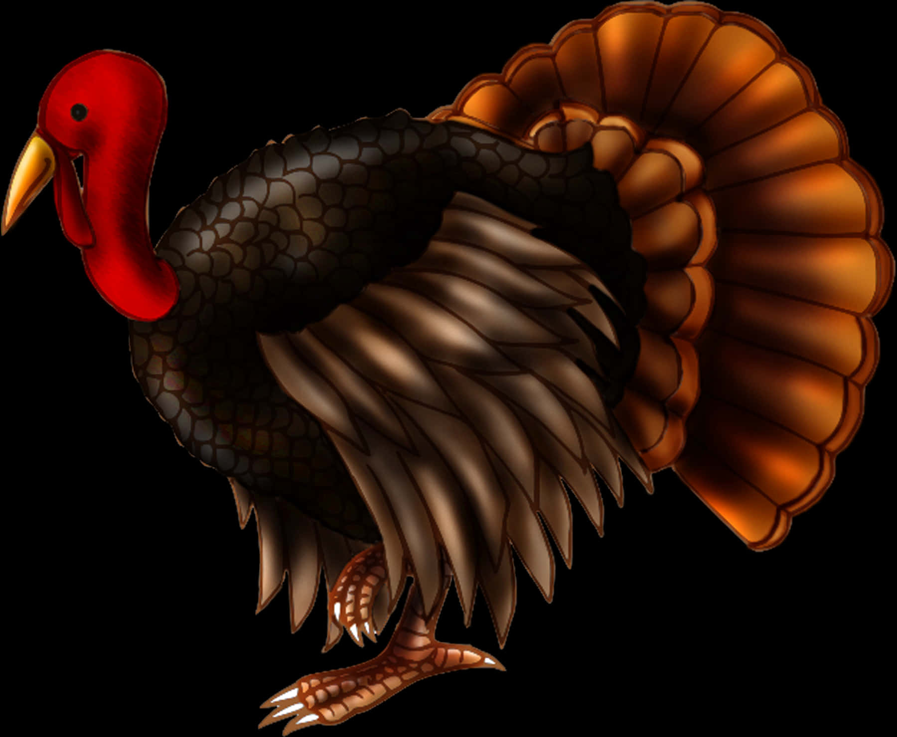 Illustrated Turkey Bird PNG Image