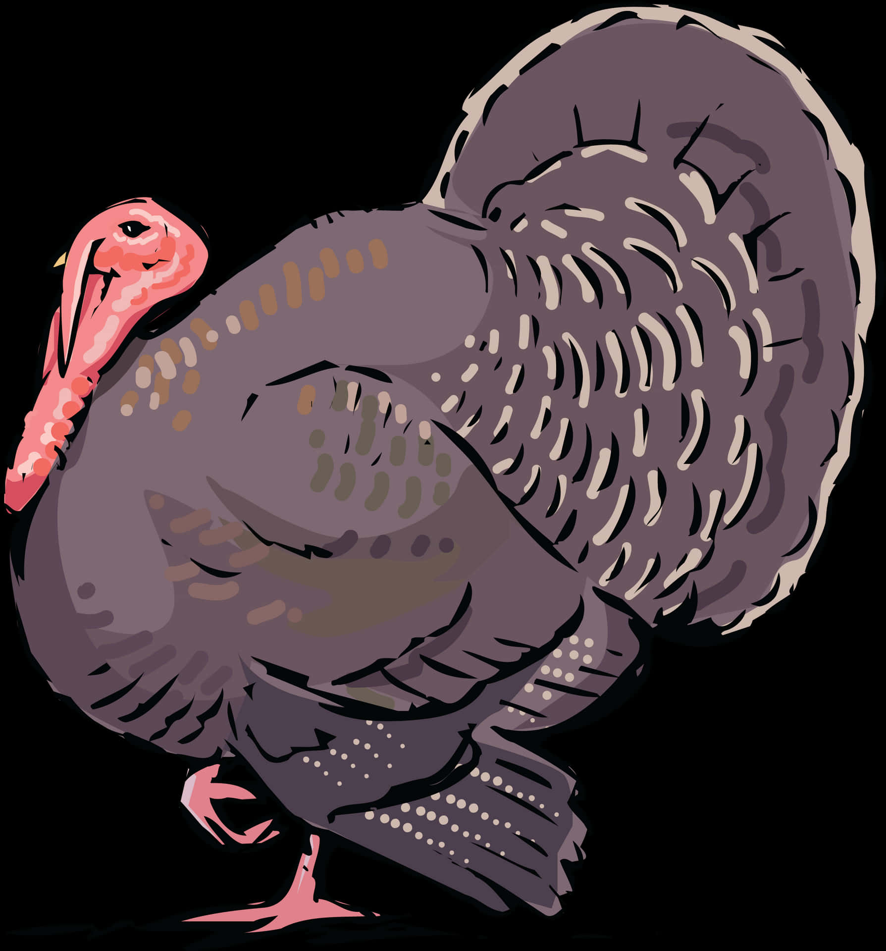 Illustrated Turkey Bird PNG Image